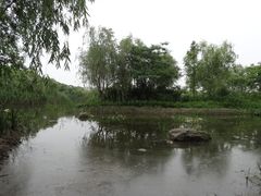景点-新江湾城公园