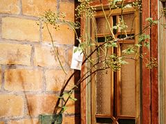 -西关84·History·Art·Cafe