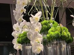 -杭州桐庐康莱德酒店西餐厅-舍