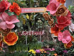 -正佳雨林生态植物园