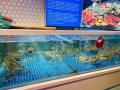-日进一片海.生腌海鲜火锅.宵夜烧烤(三里屯总店)