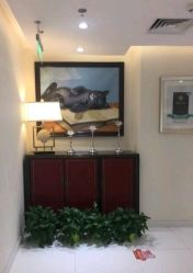 -咪咪比基尼脱毛专业店