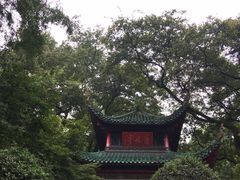 -MAMACHA妈妈茶(岳麓山店)