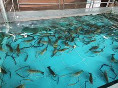 -虎门不夜天海鲜市场