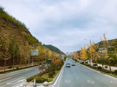 -延安杨家岭革命旧址