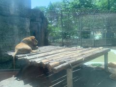 -成都动物园