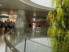 -南方医科大学深圳医院