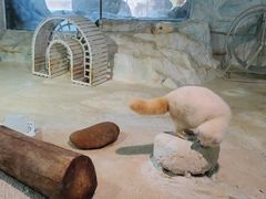 -珠海长隆海洋王国