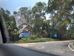 -海南槟榔谷黎苗文化旅游区