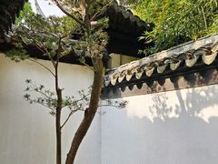 -秋霞圃