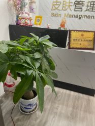 -凡碧诗毛孔收细