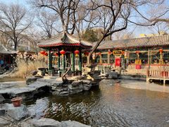 -白家大院·王府宫廷菜(苏州街店)