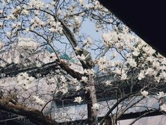 -莫氏庄园