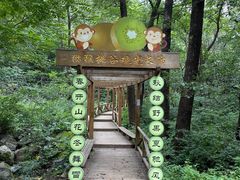 -大岭沟猕猴桃谷风景区