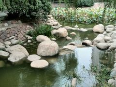 android_upload_pic-普吉岛卡塔阿维斯塔诺富特酒店度假村