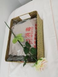-OAE日式皮肤管理お肌の
