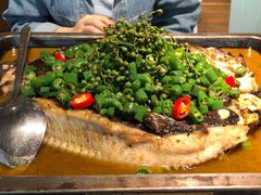 -探鱼·鲜青椒爽麻烤鱼(北京路天河城店)