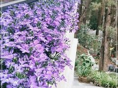 -苍山感通索道