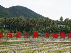 -亚龙湾国际玫瑰谷