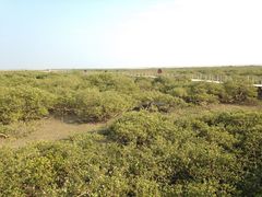 -北海金海湾红树林生态旅游区