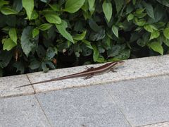 -小南山公园