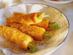 -丁老爷子苏香圆