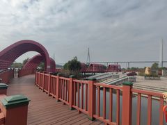 -芒洲湿地公园