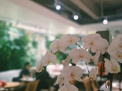 大堂-Peet's 皮爷咖啡(东湖路手作店)