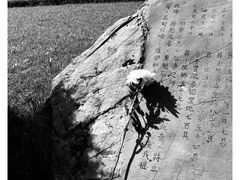 -侵华日军南京大屠杀遇难同胞纪念馆