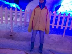 -世界之窗阿尔卑斯冰雪世界
