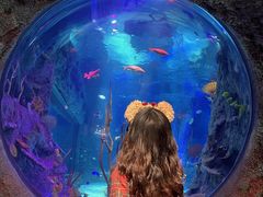 -沈阳海洋探索中心