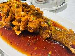 -金春禧(和谐广场店)