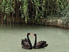 -虹迎轩·中餐厅(虹桥迎宾馆店)