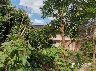 朴素的日子里回归于宁静