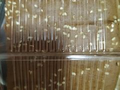 -包满意面包糕点(东坝店)