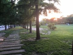 -清青快餐厅