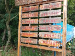 -金石滩蓝莓谷庄园