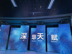 -深圳市当代艺术与城市规划馆