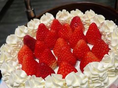 -鸽子窝(万丰路店)