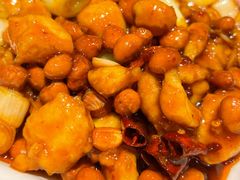宫保鸡丁饭-好嫂子酱猪手•农家菜(知春路店)