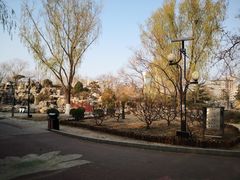 -莲花池公园