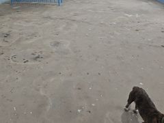 -千岛湖九龙溪漂流