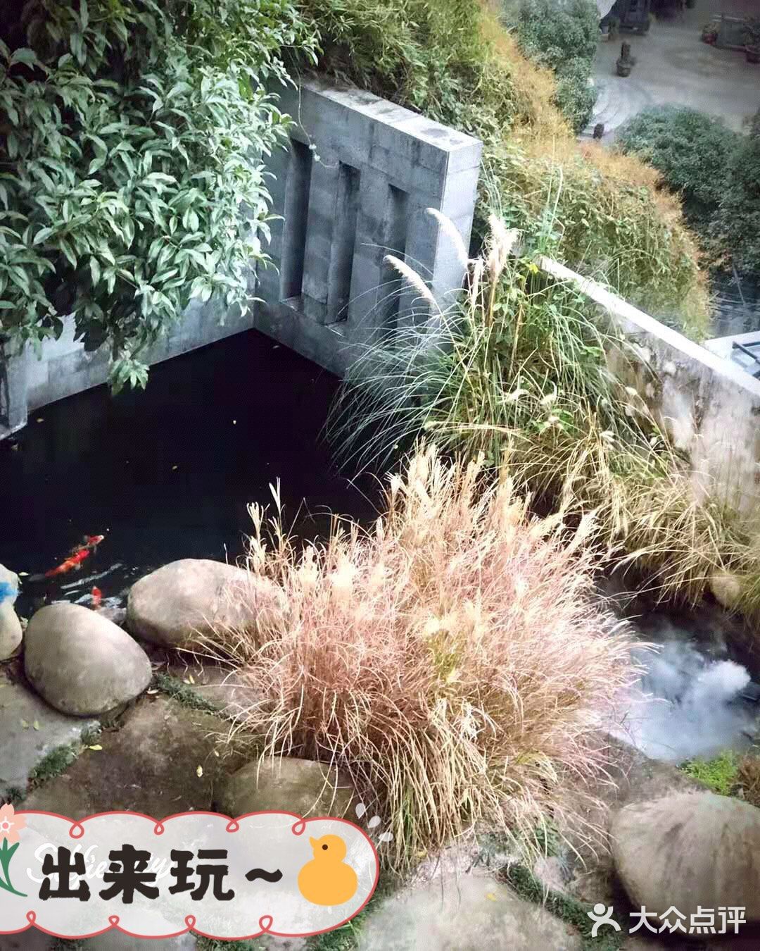 采菊东篱下