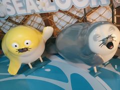 -海合安青岛极地海洋公园