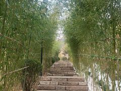 -竹子庵公园