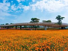-江苏三台山国家森林公园