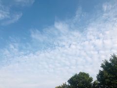 -风云岭森林公园