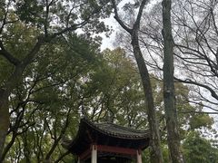 -天一阁博物院