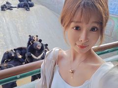 -东方熊牧场