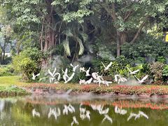 -广州长隆飞鸟乐园